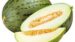 Melón Primera (precio por kg)