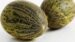 Melon Bollo (precio por kg)